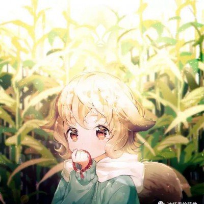 上京东直播 领520红包